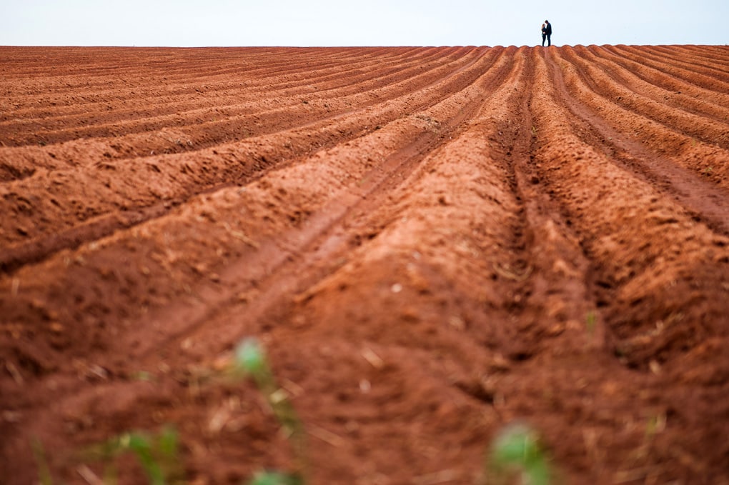 Prince Edward Island Engagement Photography, PEI