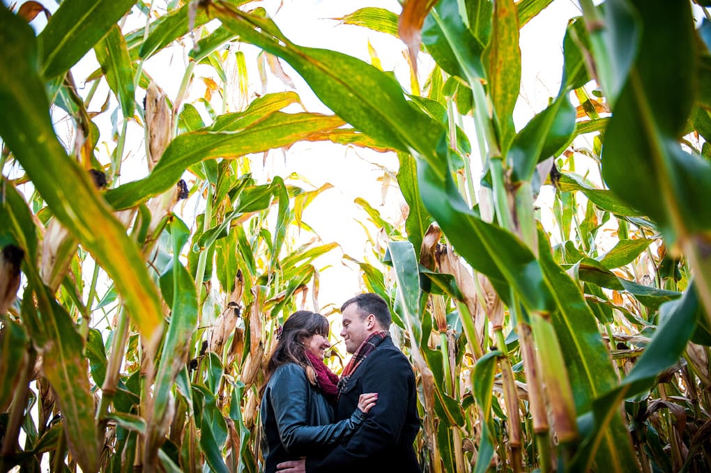 Wolfville Engagement Photography, Cornfields, Sunset