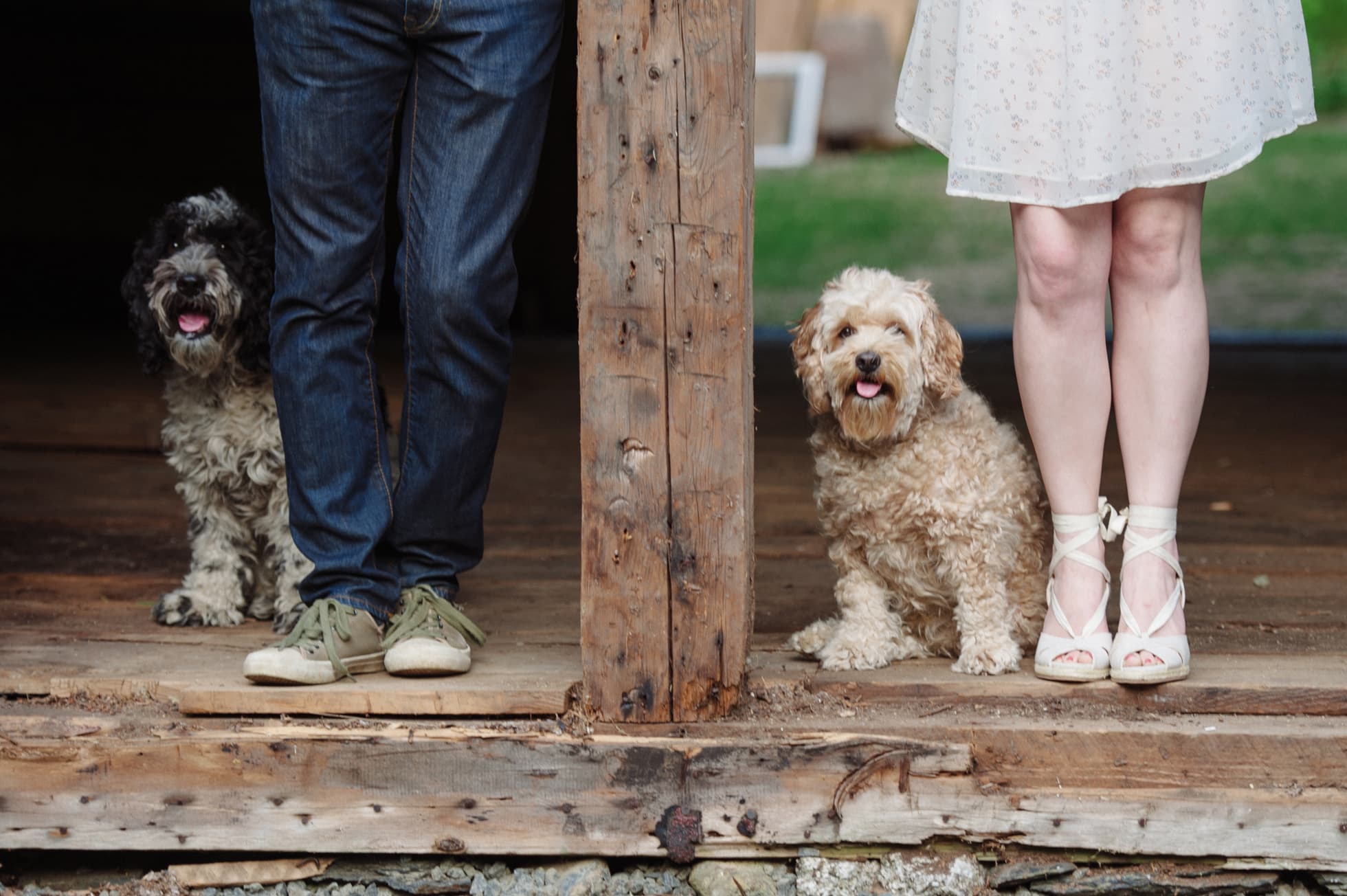 005-Halifax-Wedding-Photographer